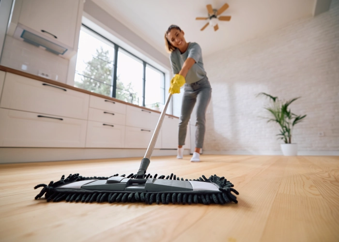 Schoonmaak van gemeenschappelijke ruimtes van gebouwen in Haarlemmermeer 1117